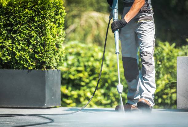 Best Pool Deck Cleaning  in Templeton, CA